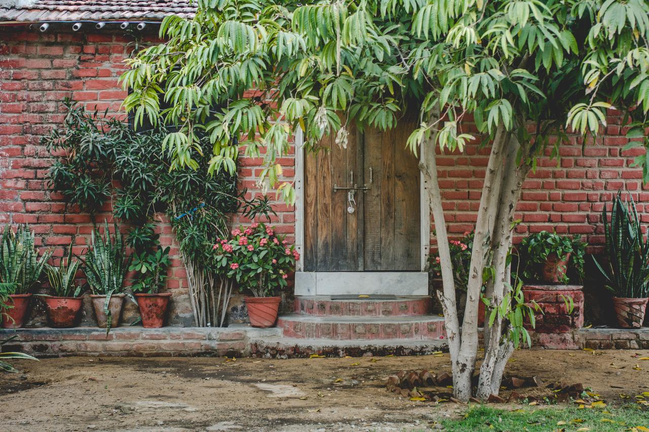 Shannu'S Ranch Inn Pushkar Exterior foto